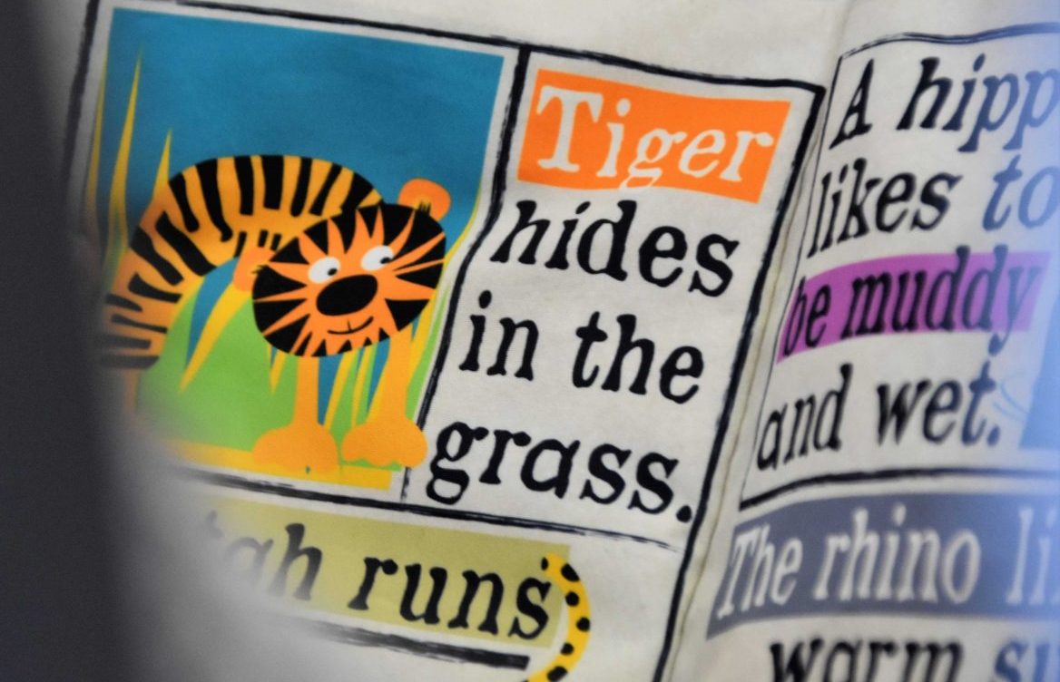picture-book-narrative-voice How to Write a Children's Picture Book | Read The Book Aloud